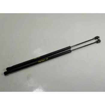 AMORTIGUADORES MALETERO / PORTON 