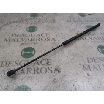 AMORTIGUADORES MALETERO / PORTON 