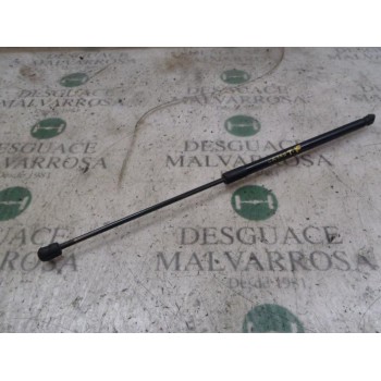 AMORTIGUADORES MALETERO / PORTON 