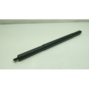 AMORTIGUADORES MALETERO / PORTON 51248494162 849416204 