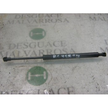 AMORTIGUADORES MALETERO / PORTON 51248254281 