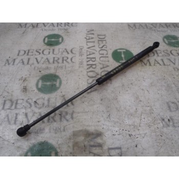 AMORTIGUADORES MALETERO / PORTON 