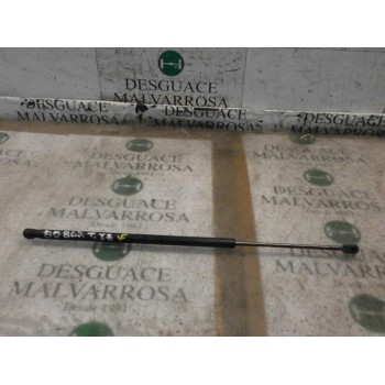 AMORTIGUADORES MALETERO / PORTON 