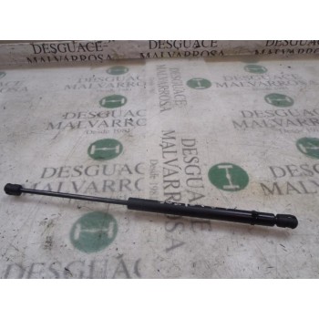 AMORTIGUADORES MALETERO / PORTON 