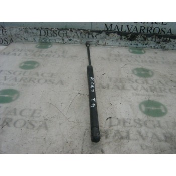 AMORTIGUADORES MALETERO / PORTON 