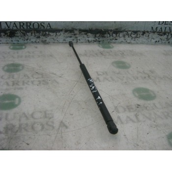 AMORTIGUADORES MALETERO / PORTON 