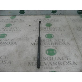 AMORTIGUADORES MALETERO / PORTON 