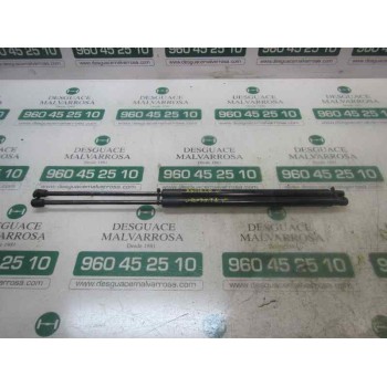 AMORTIGUADORES MALETERO / PORTON 