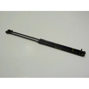 AMORTIGUADORES MALETERO / PORTON 31395607 31395607 