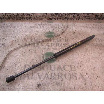 AMORTIGUADORES MALETERO / PORTON 15872899 