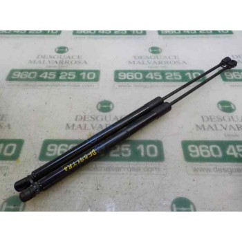 AMORTIGUADORES MALETERO / PORTON 2284725 
