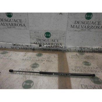 AMORTIGUADORES MALETERO / PORTON 