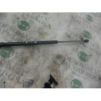 AMORTIGUADORES MALETERO / PORTON 