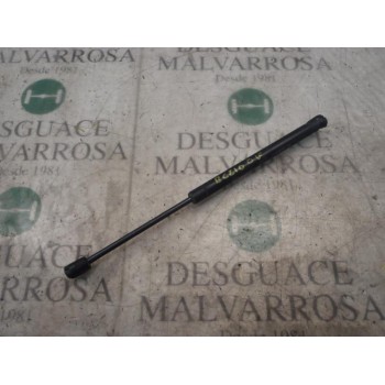 AMORTIGUADORES MALETERO / PORTON 