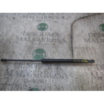 AMORTIGUADORES MALETERO / PORTON 