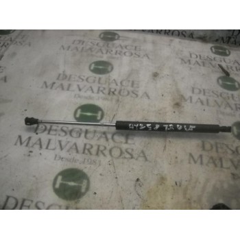 AMORTIGUADORES MALETERO / PORTON 