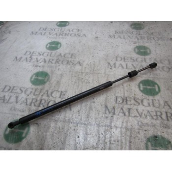 AMORTIGUADORES MALETERO / PORTON 