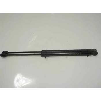 AMORTIGUADORES MALETERO / PORTON 