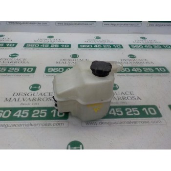 DEPOSITO EXPANSION 254311W000 