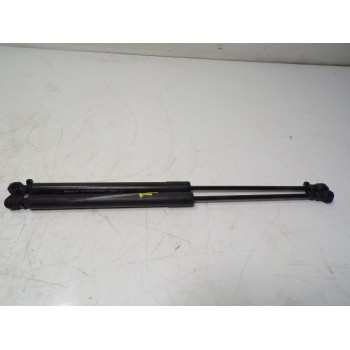 AMORTIGUADORES MALETERO / PORTON 904529943R 904529943R 