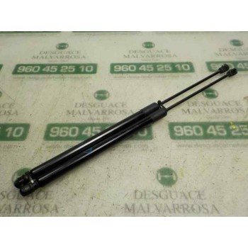 AMORTIGUADORES MALETERO / PORTON 2287105 