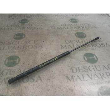 AMORTIGUADORES MALETERO / PORTON 