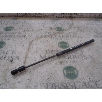 AMORTIGUADORES MALETERO / PORTON 