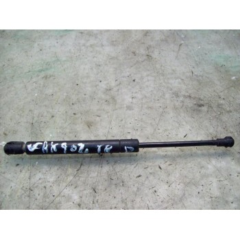 AMORTIGUADORES MALETERO / PORTON 