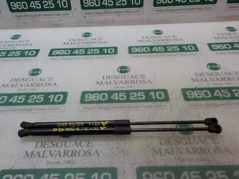 Recambio de amortiguadores maletero / porton para hyundai i20 klass referencia OEM IAM 81770C8010  