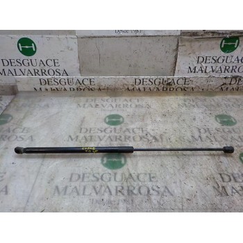 AMORTIGUADORES MALETERO / PORTON 