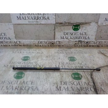 AMORTIGUADORES MALETERO / PORTON 