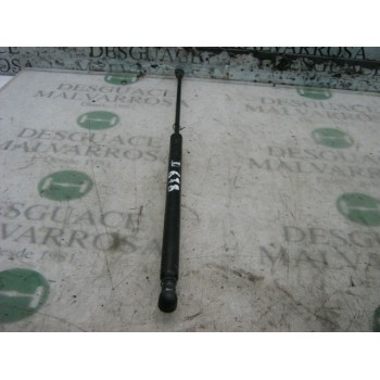 AMORTIGUADORES MALETERO / PORTON 