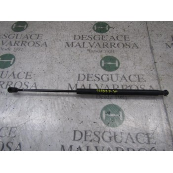 AMORTIGUADORES MALETERO / PORTON 