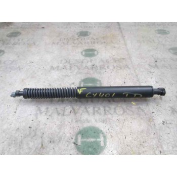 AMORTIGUADORES MALETERO / PORTON 