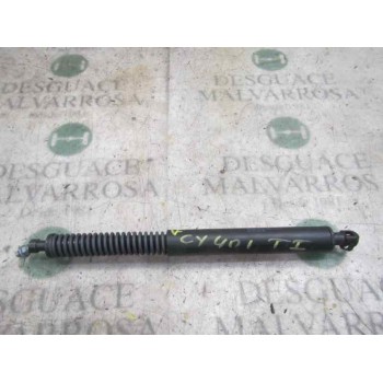 AMORTIGUADORES MALETERO / PORTON 