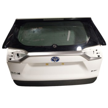 PORTON TRASERO 6700542670 