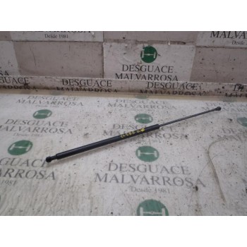 AMORTIGUADORES MALETERO / PORTON 