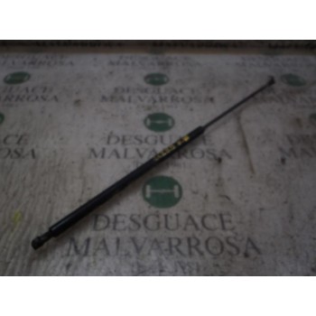 AMORTIGUADORES MALETERO / PORTON 