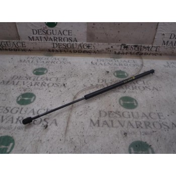 AMORTIGUADORES MALETERO / PORTON 