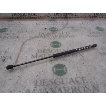 AMORTIGUADORES MALETERO / PORTON 