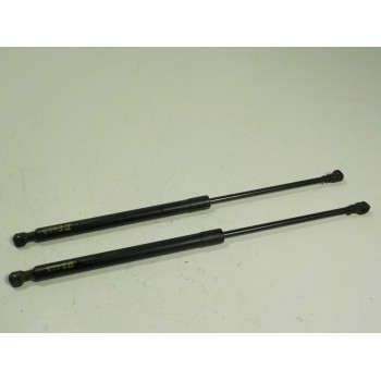 AMORTIGUADORES MALETERO / PORTON 904511213R 