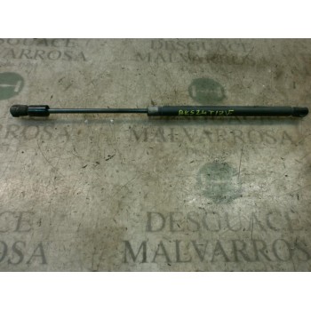 AMORTIGUADORES MALETERO / PORTON 