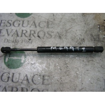 AMORTIGUADORES MALETERO / PORTON 51241960862 