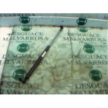 AMORTIGUADORES MALETERO / PORTON 