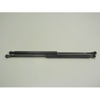 AMORTIGUADORES MALETERO / PORTON 51778432 