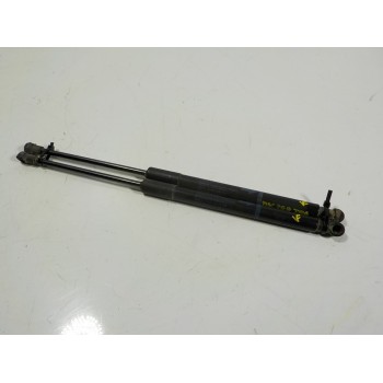 AMORTIGUADORES MALETERO / PORTON 689500W641 689500W641 689600W621