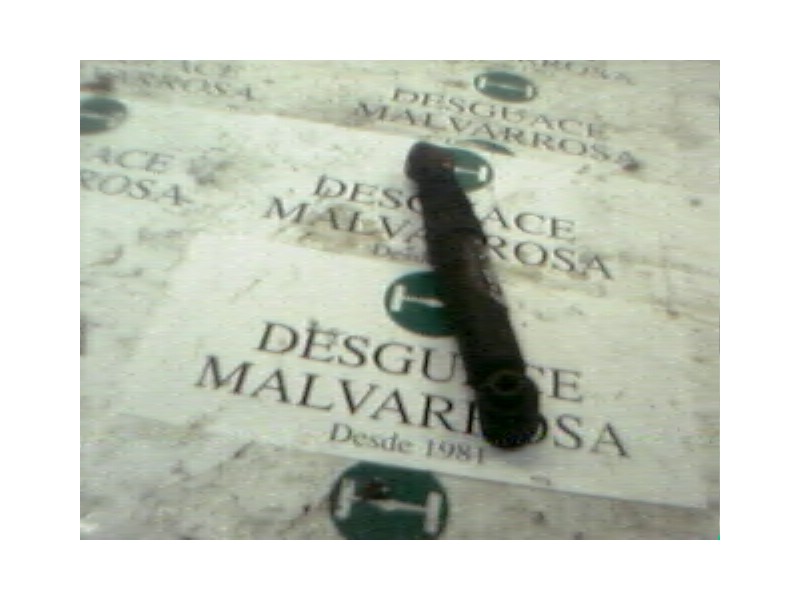 Recambio de amortiguador trasero derecho para citroën saxo 1.4 referencia OEM IAM   