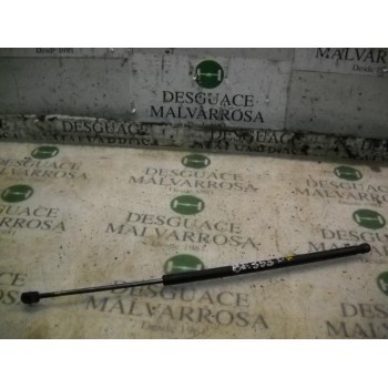 AMORTIGUADORES MALETERO / PORTON 