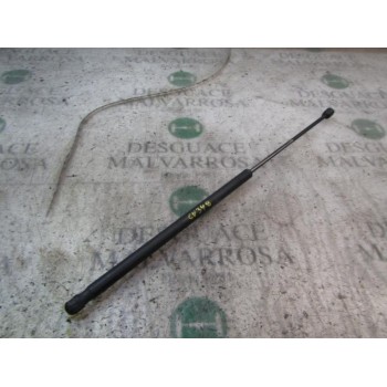 AMORTIGUADORES MALETERO / PORTON 