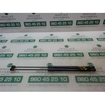 AMORTIGUADORES MALETERO / PORTON 1666068 